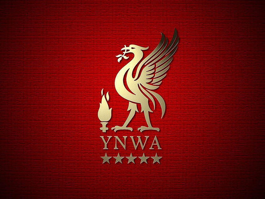 Liverpool FC Interessantes Logo, bpl HD-Hintergrundbild