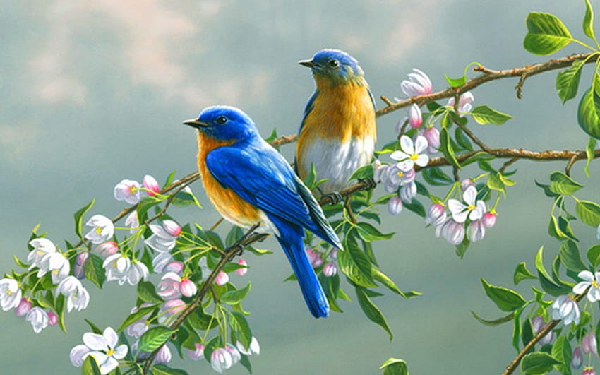 4 Bird and Flower, little bird and flowers HD wallpaper