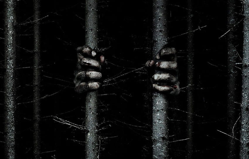 cinema, trees, movie, fear, evil, witchcraft, hands, prison, film, witch, terror, The Woods, optical illusion, double meaning, Blair Witch , section фильмы HD wallpaper