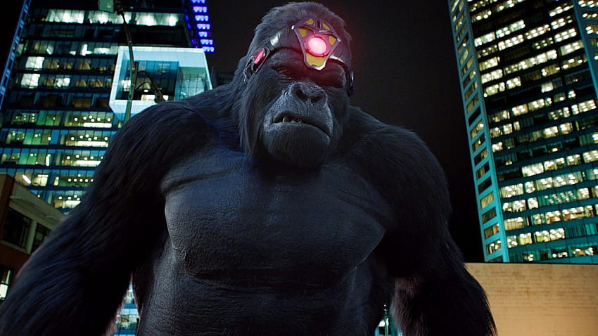 New from tonight's episode of The Flash feature King Shark vs. Gorilla Grodd HD wallpaper