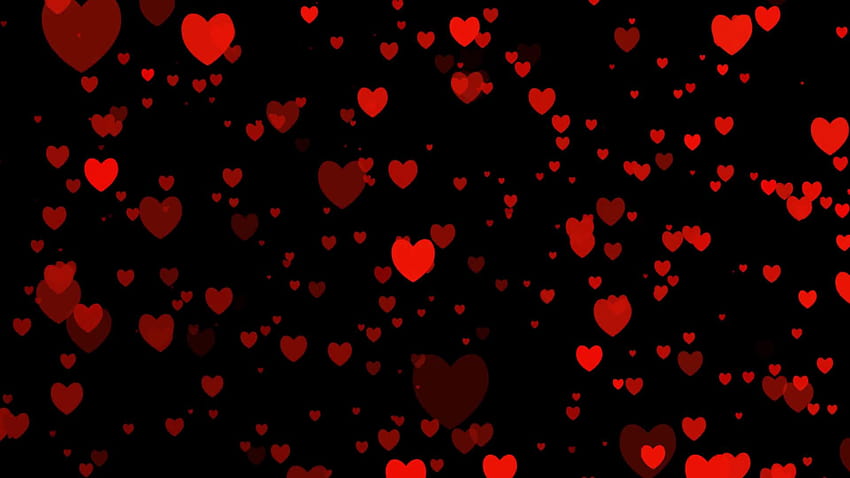 Fundos de coração preto vermelho, dia dos namorados preto papel de parede HD
