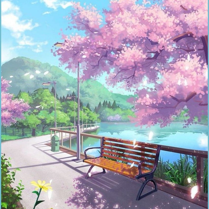 Anime in 14, cute anime scenery HD phone wallpaper