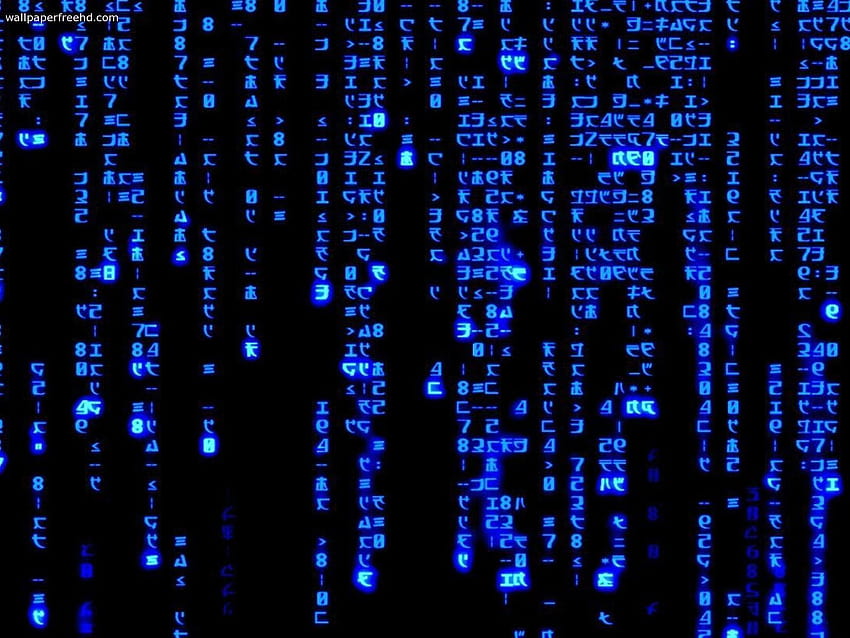 Kode Biner Langsung, kode anime biru Wallpaper HD