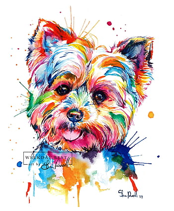 Yorkie painting HD wallpapers | Pxfuel