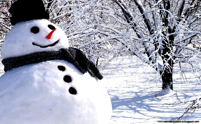 Real Snowman, winter real snowmen HD wallpaper