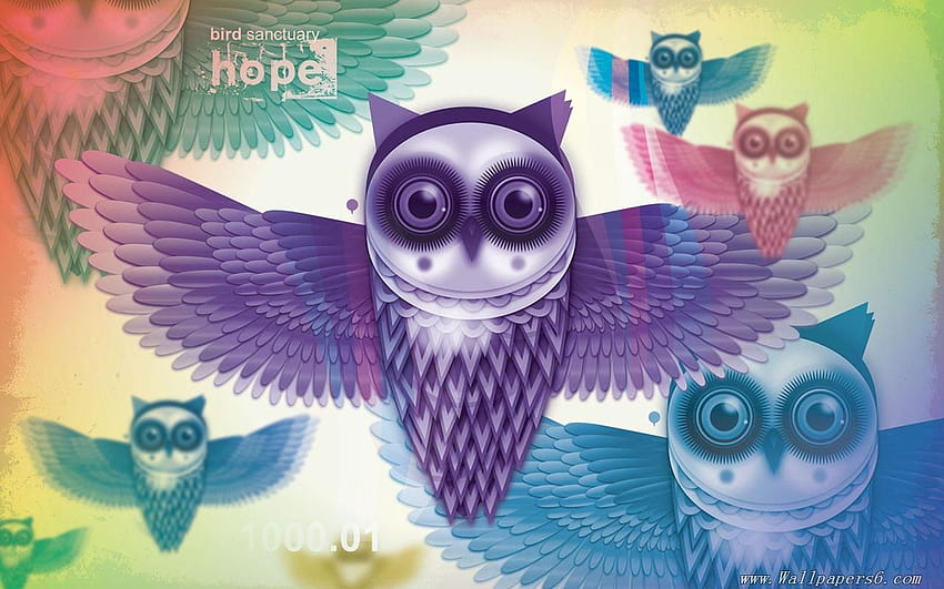 Illustration Design Artwork owl, purple owl HD wallpaper