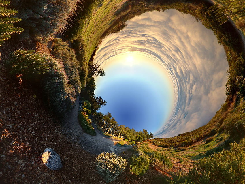 Rabbit Hole , Movie, HQ Rabbit Hole HD wallpaper | Pxfuel