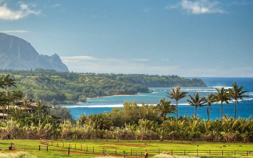 : Pulau Kauai, Hawaii, Teluk Hanalei, pantai, pantai laut Wallpaper HD