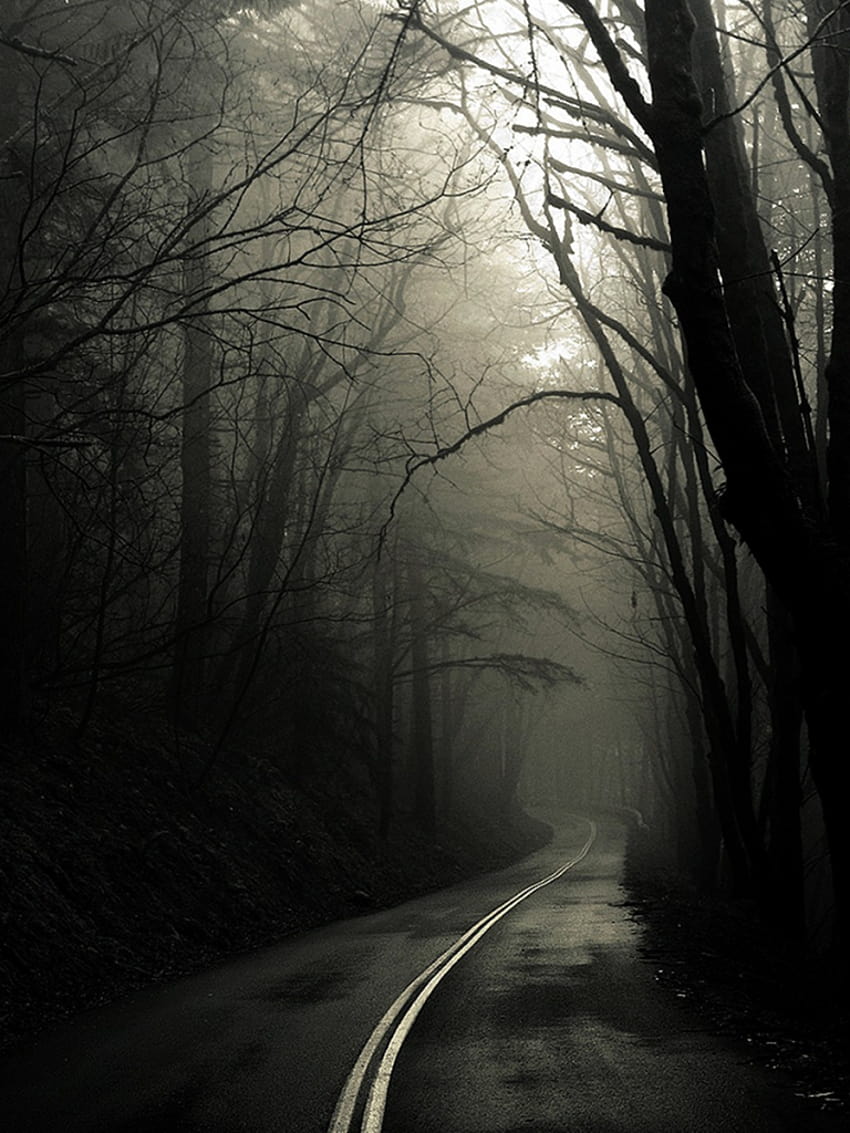 Scary Road [1920x1200] for your , Mobile & Tablet, horror road HD phone wallpaper