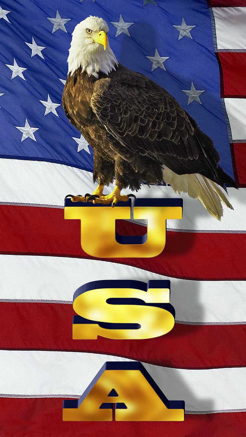 イーグルと愛国心が強いアメリカの国旗 HD電話の壁紙