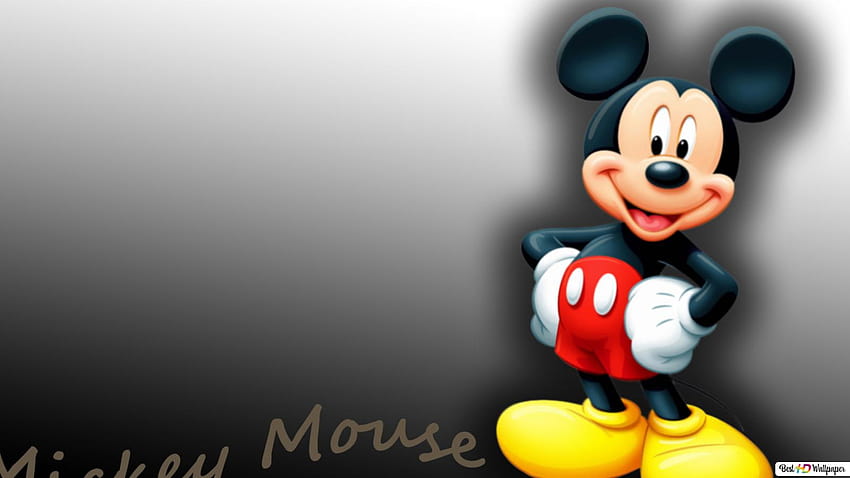 Disney mickey mouse HD wallpaper | Pxfuel