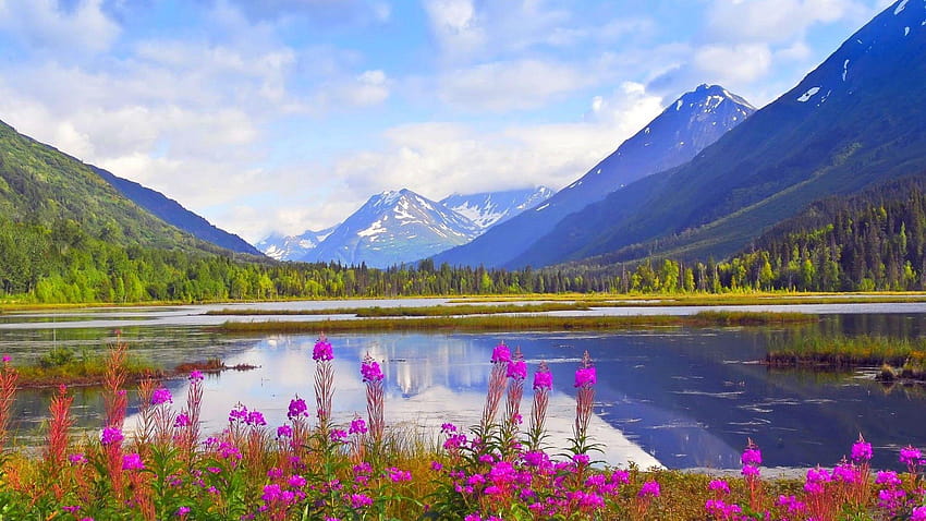 Alaska In Spring HD wallpaper