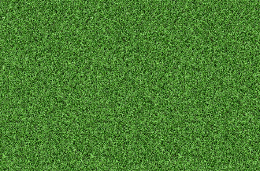 Trawa Tło. ToEdit Tekstura tła zielonej trawy Grig15 Tapeta HD