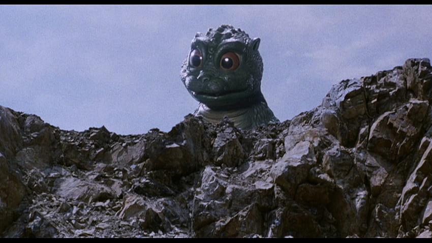 Godzilla Junior'ın yakından incelenmesinden içgörüler HD duvar kağıdı