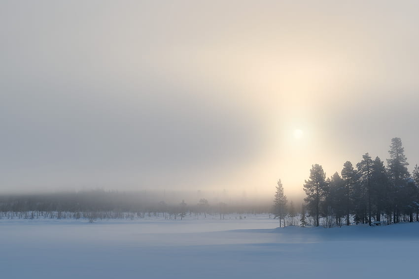 北極霧、スウェーデンの北方林の冬の夕日 高画質の壁紙