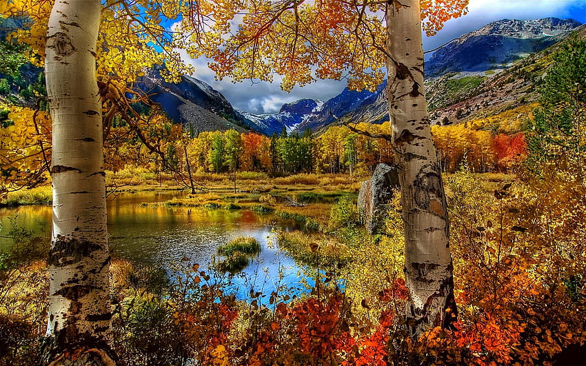Automne bouleau couleur peinture plantes étang montagne Russie, paysage de montagne automne Fond d'écran HD