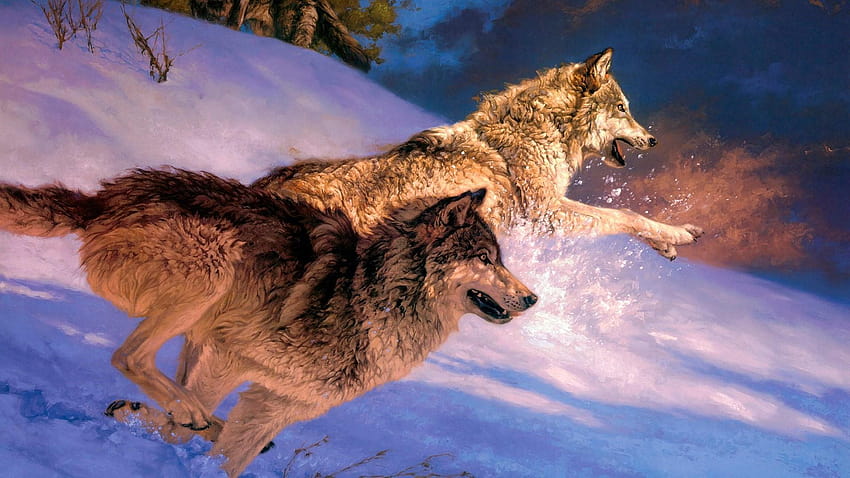Angry Wolves Chase In The Snow, angry wolf HD wallpaper