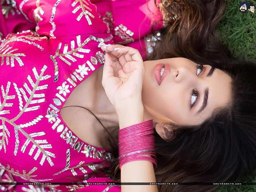A atriz punjabi Jasmin Bajwa está linda de rosa papel de parede HD