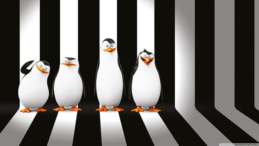Penguins of Madagascar 3 HD wallpaper