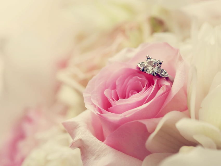 will you marry me For com [1024x768] for your , Mobile & Tablet HD wallpaper
