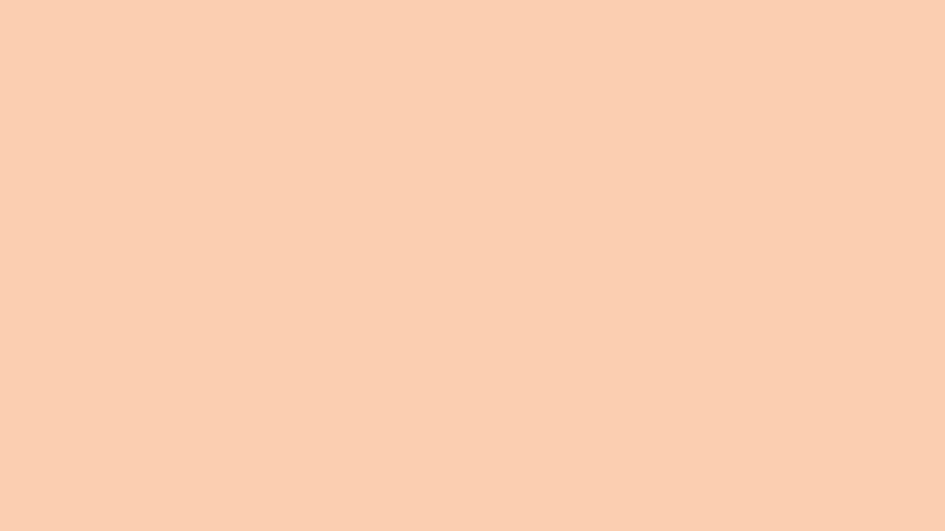 Warna Solid Aprikot Wallpaper HD