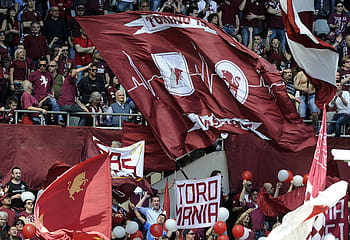 10+ Torino F.C. HD Wallpapers and Backgrounds