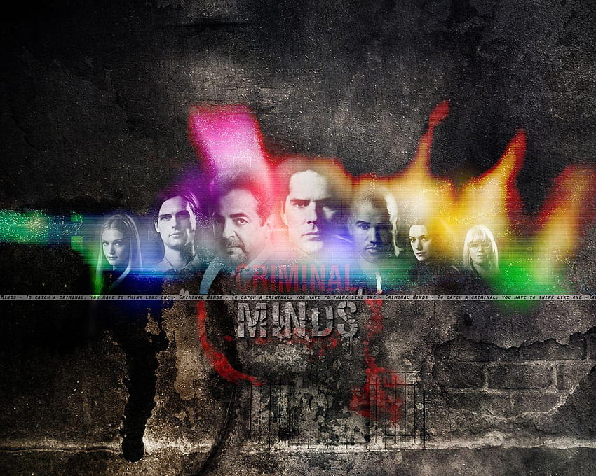 pic new posts: Criminal Minds Season HD wallpaper