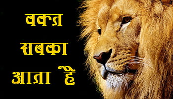 Lion with quotes in hindi HD wallpapers | Pxfuel