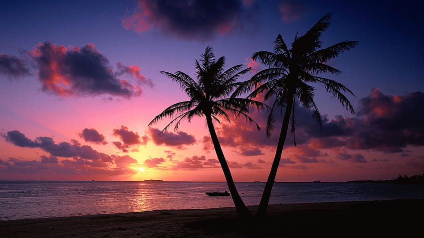 3 Pink Beach Sunset, sunset aesthetic computer HD wallpaper