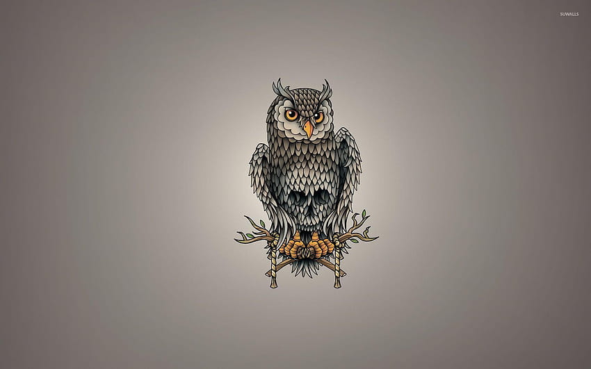 Owl 18 HD wallpaper | Pxfuel