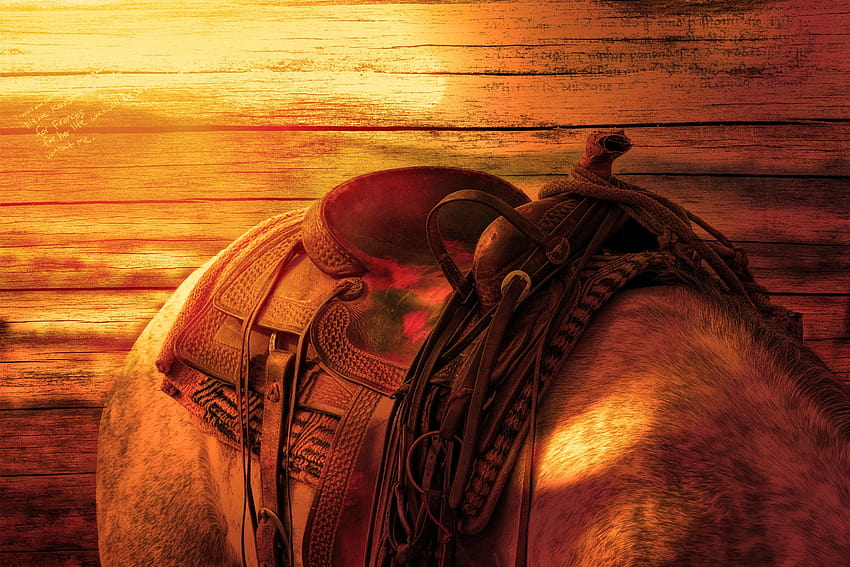 horses back and, horse with saddle HD wallpaper