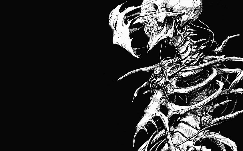 Update 143+ skeleton anime latest - in.eteachers