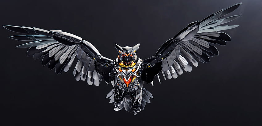 Asus Strix Owl, logo chouette Fond d'écran HD