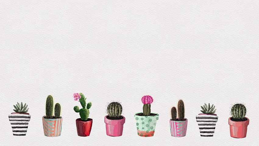 aesthetic cactus HD wallpaper