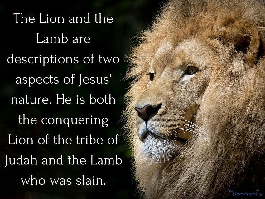 How should we understand the Lion and the Lamb passage, lion of the tribe of judah HD wallpaper