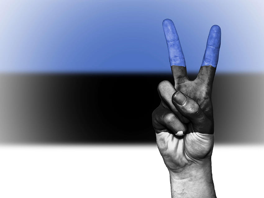latar belakang, spanduk, warna, negara, panji, estonia, bendera, bendera estonia Wallpaper HD