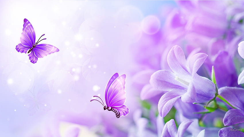 1920x1080, Bliss Soft Butterflies Flores de verano en colores pastel, flores de verano fondo de pantalla