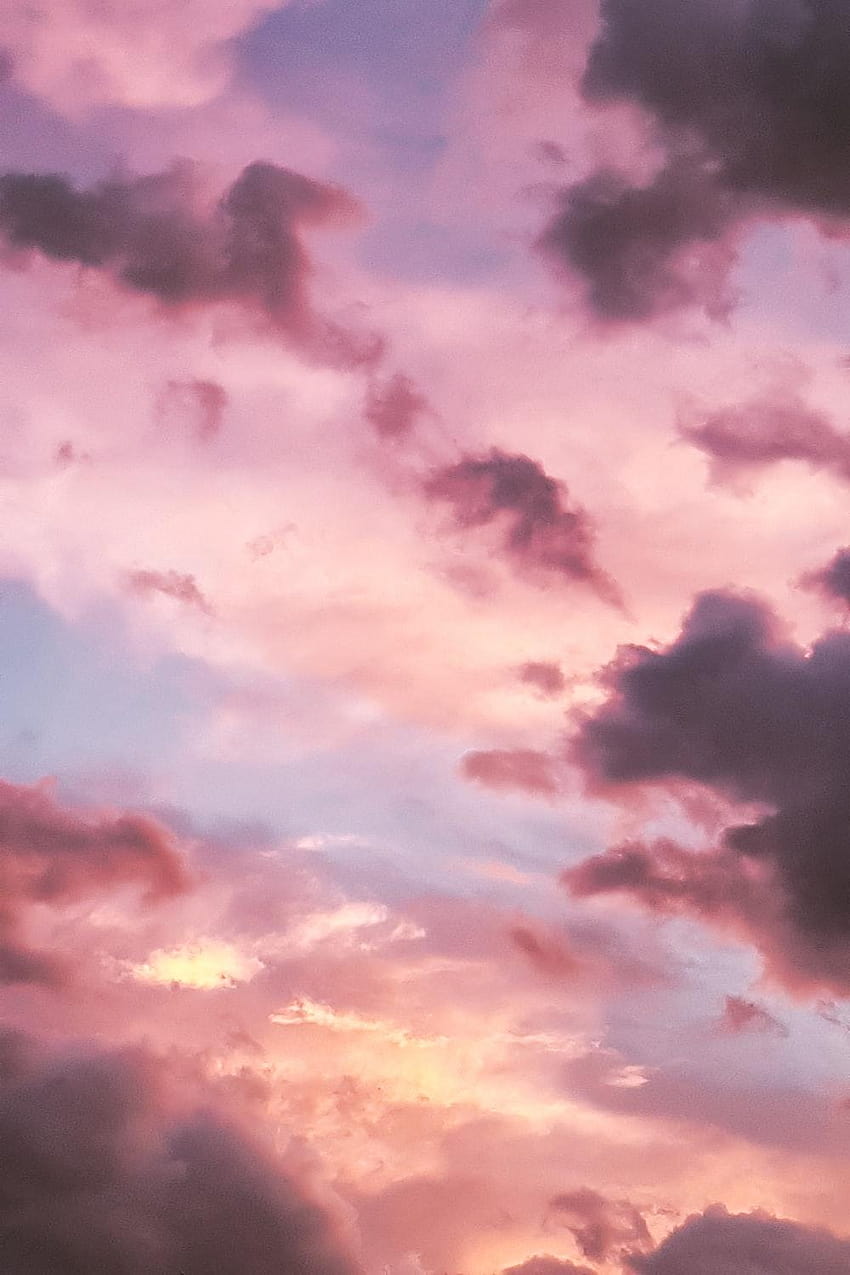 50 Pink Sky, pink sea aesthetic HD phone wallpaper