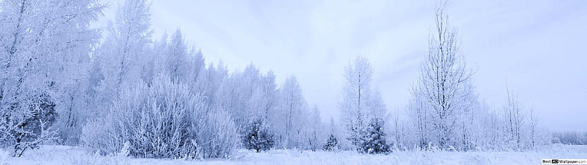 A very white winter, 3840x1080 winter HD wallpaper