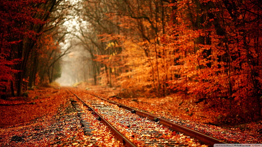 Autumn Railway Ultra Backgrounds for U TV : & 울트라와이드 & 노트북 : 태블릿 : 스마트폰, 가을기차 1920x1080 HD 월페이퍼