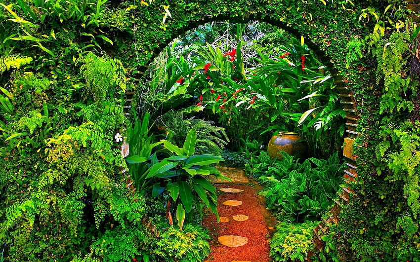 Floresta: Jungle Bow Botanical Garden Plants Path Green Amazon Forest, floresta amazônica papel de parede HD