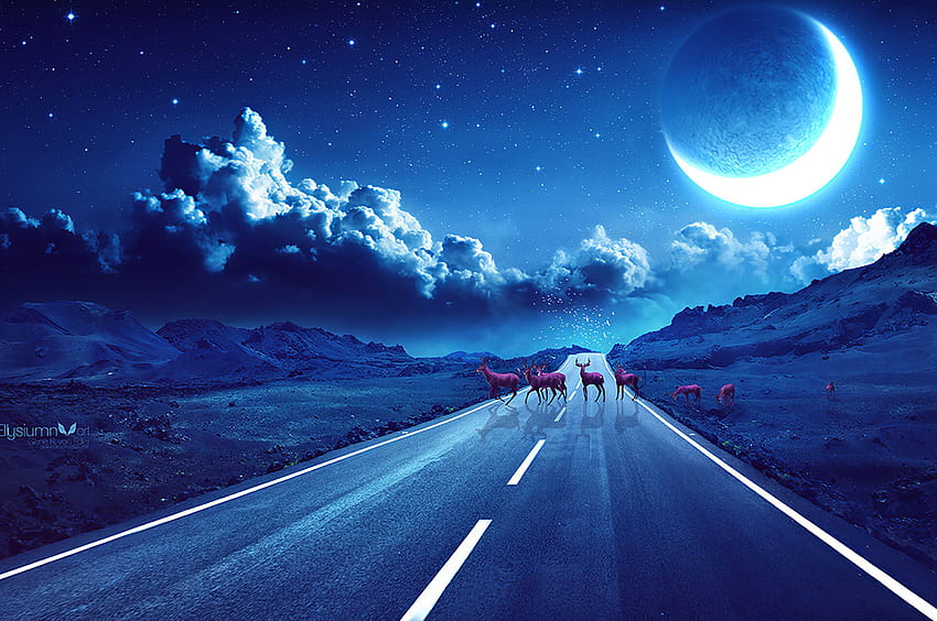 2560x1700 Deer Crossing The Road Noche mágica Chromebook Pixel, s y fondo de pantalla