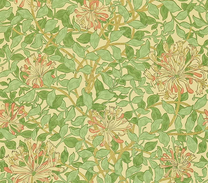 Honeysuckle by Morris HD wallpaper