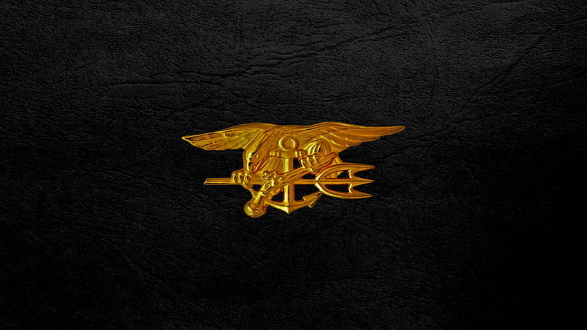 Navy Seal 900x600, boy scout logo HD wallpaper | Pxfuel