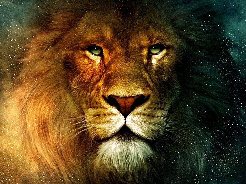 3D Lion Art, лъв 3d HD тапет