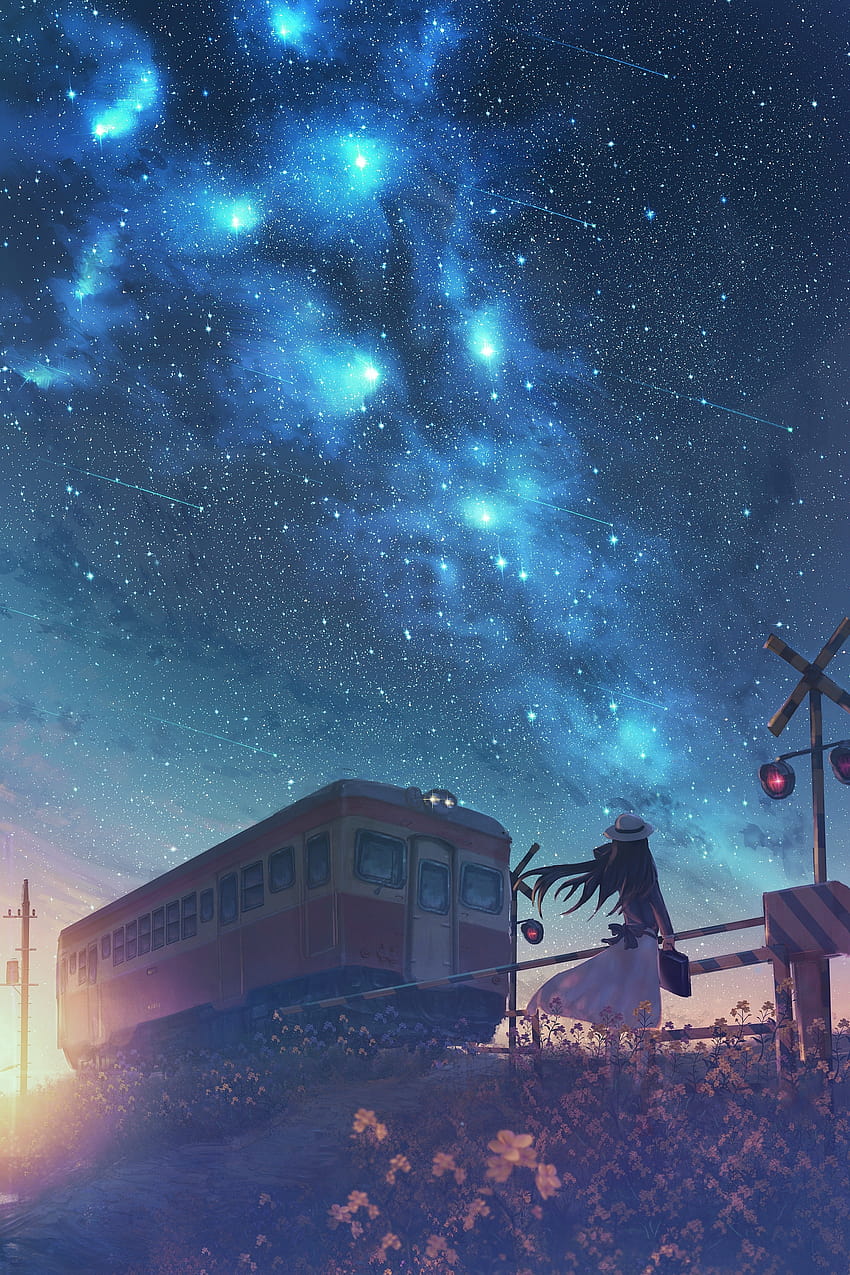 Railroad Car Night Anime Starry Sky Anime Girl [2000x3000] for your , Mobile & Tablet, anime girl sky phone HD phone wallpaper