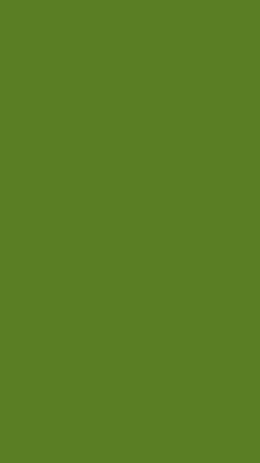 Verwenden Sie diesen BLOG als Farbschema-Tool!: Dunkles Olivgrün, armeegrünes iPhone HD-Handy-Hintergrundbild