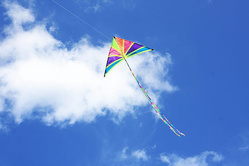 kite, Flying, Bokeh, Flight, Fly, Summer, Hobby, Sport, Sky, Toy, Fun / and Mobile Backgrounds, summer flying HD wallpaper