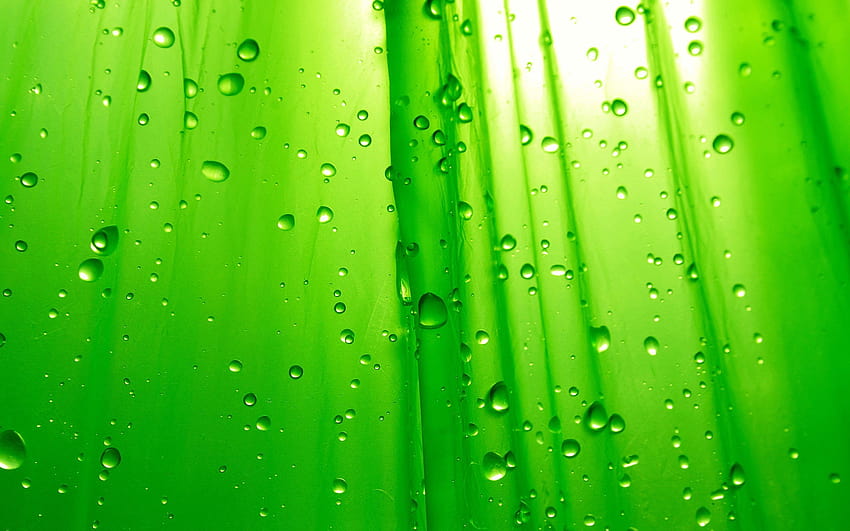 Зелени фонове на водни капки, плътни зелени 3d водни капки HD тапет
