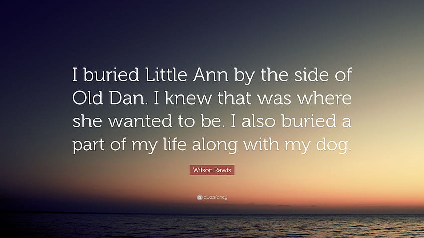 Wilson Rawls Quote: “I buried Little Ann by the side of Old Dan. I knew that was where she wanted to be. I also buried a part of my life alon...” HD wallpaper